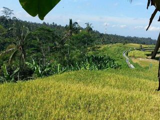 Tanah bukit 3.96ha Ubud Payangan Bali LANGKA! cocok villa N1111