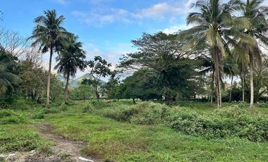 Commercial Lot for Sale in Sorsogon City