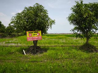 sawah belakang Al Azhar Cirebon