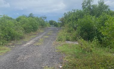 DIJUAL Tanah Murah area tundun penyu ungasan Bali