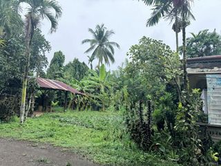 Residential Lot / Agricultural Land for sale