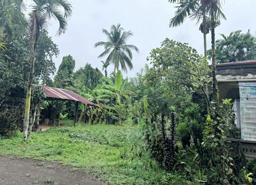 Calauan-Nagcarlan Road, Purok 1, Nagcarlan, Laguna