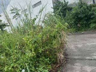 Residential corner lot for sale in St. Dominique Corinthians, San fernando Pampanga
