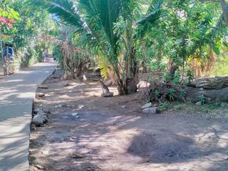 Farm Lot suitable for camp site
