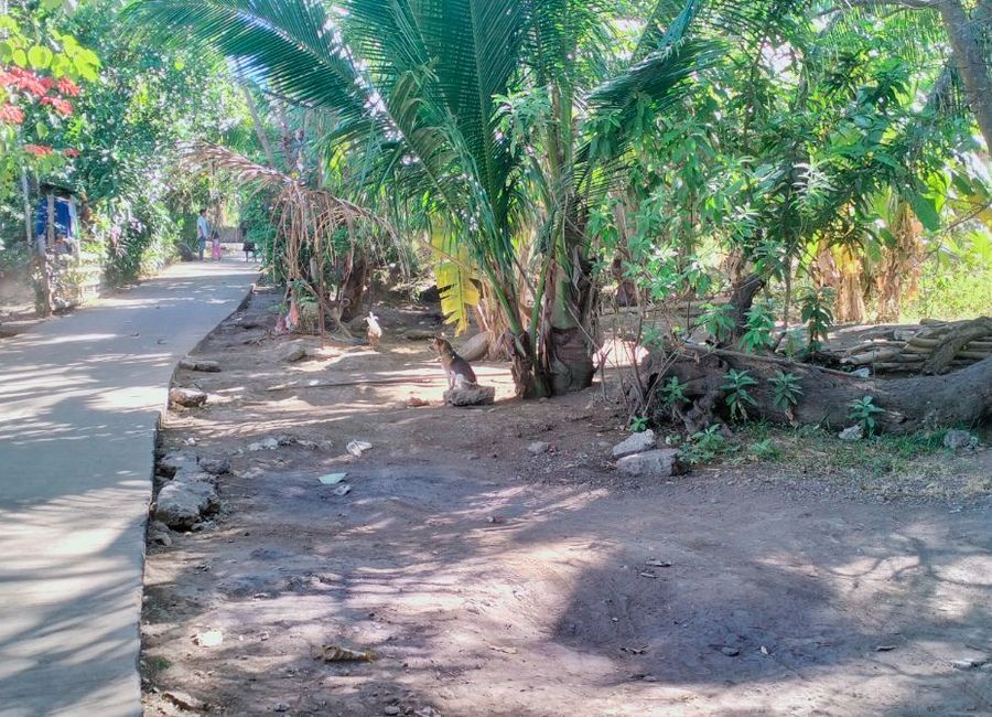 Batulao Road, Dacanlao, Matala, Cahil, Calaca, Batangas