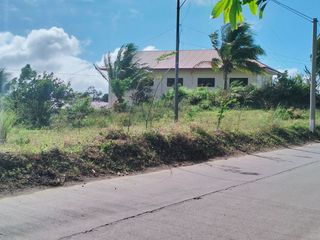 Residential Farm lot along provincial road