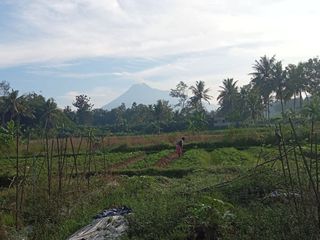 Cheap Land in Pusmalang Cangkringan Sleman Yogyakarta