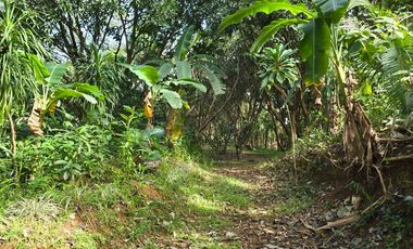 FOR SALE: Agricultural VACANT LOT San Mateo Rizal