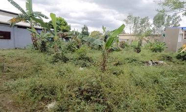 𝐋𝐎𝐓 𝐅𝐎𝐑 𝐒𝐀𝐋𝐄 | 𝐍𝐚𝐢𝐜, 𝐂𝐚𝐯𝐢𝐭𝐞 - 5,387 SQM 🌿