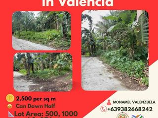 land for sale can be installment in Valencia