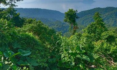 3 HECTARES PROPERTY IN TOLENTINO EAST, TAGAYTAY CITY