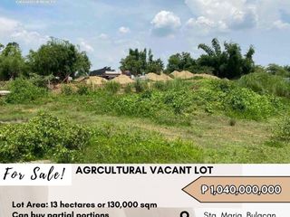 FOR SALE Agricultural Vacant Lot located at Sta. Maria, Bulacan