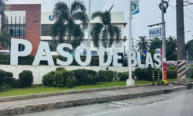 INDUSTRIAL LOT WITH WAREHOUSE FOR SALE IN PASO DE BLAS VALENZUELA CITY