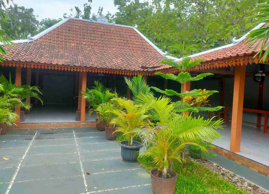 place photo 6