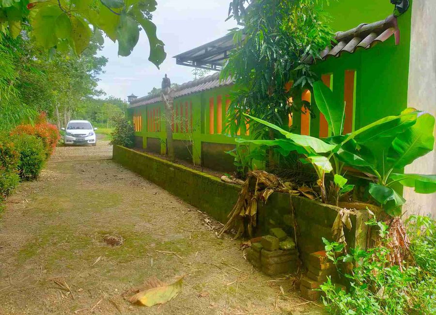 place photo 8