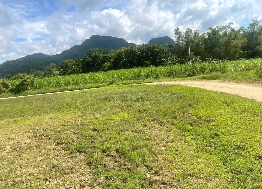 Maugat, Nasugbu, Batangas image 2