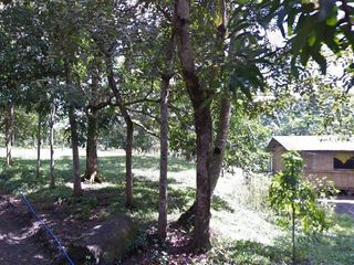 Prime Real Estate Opportunities in Iloilo