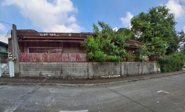 Residential Lot for Sale in Marikina Property