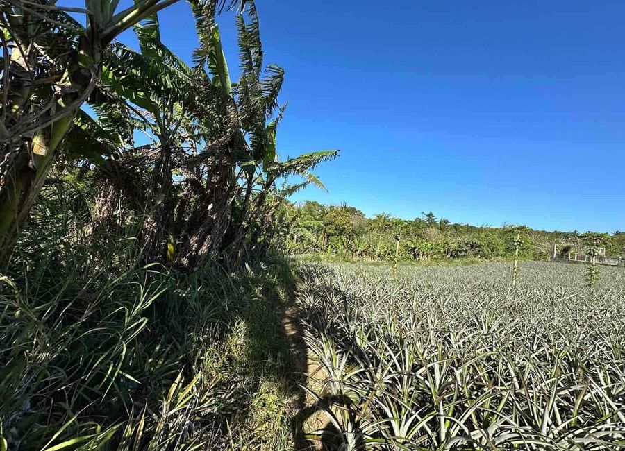 Rodeo Countryside Estate, Mangas II, Esperanza Ilaya, Alfonso, Cavite