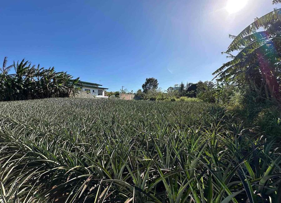 Rodeo Countryside Estate, Mangas II, Esperanza Ilaya, Alfonso, Cavite image 2