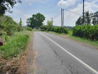 TANAH POROS JALAN PROVINSI GEMBOR BAYUWANGI JAWA TIMUR