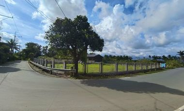 Commercial Property for Sale near Tagaytay Bypass Road