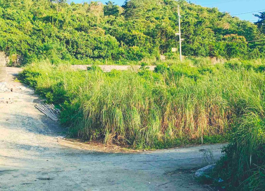 M.L. Quezon Extension, Mahabang Parang, Angono, Rizal image 3
