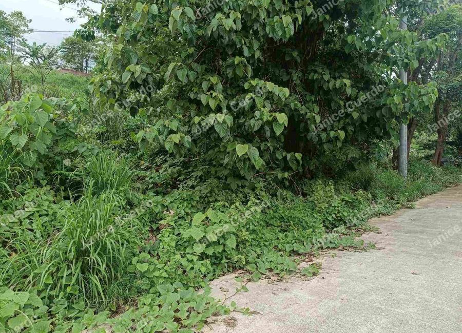 Village East 3, San Roque, Angono, Rizal image 3