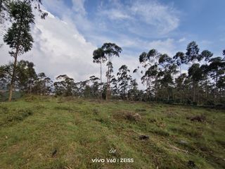Dijual Tanah Padat Arah Danau Situ Cileunca Pangalengan Bandung