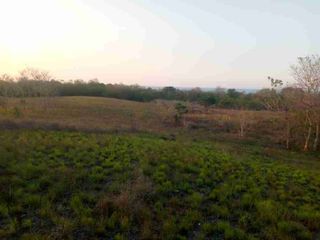 Dijual murah tanah pertanian