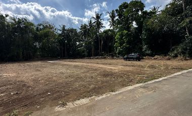 Tanah SHM Area Pemda Sleman Dekat Jl. Magelang 5 Menit Masjid Suciati