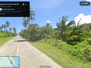 Commercial Beach Lot Property For Sale Pacifico Siargao Island Along Tourism Road With Surf Spot and Beach Access Across