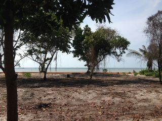 Tanah Hak milik Beach front Land