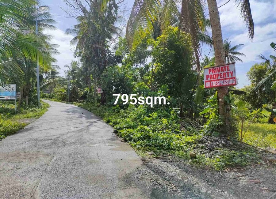 Real - Infanta Road, Poblacion, Comon, Infanta, Quezon image 3