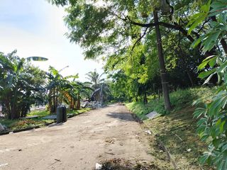 32,938 sqm Lot for Sale in West Service Road, Sun Valley, Paranaque City