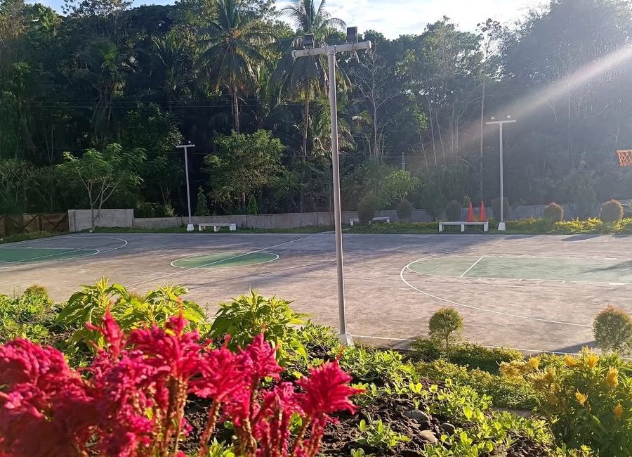 place photo 18