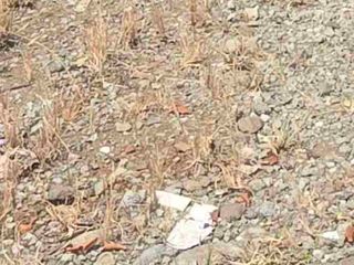 Tanah Disewakan Fatmawati Raya