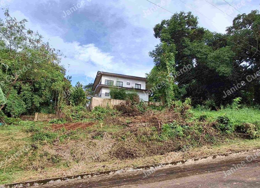 Cherry Street, Antipolo, Rizal