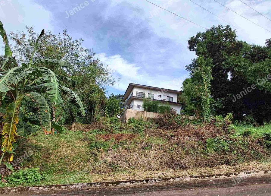 Cherry Street, Antipolo, Rizal image 2