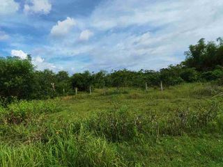 For Sale Near highway Panglao Airport lot 2052 sqm.