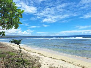 🌊 BEACHFRONT PROPERTY FOR SALE — PRIME 2-HECTARE BEACHLINE!