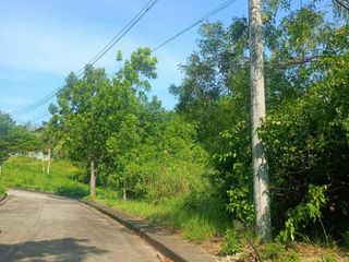 380 sqm Titled Residential Lot for Sale — Elevated, Flood-Free & Below Market Value
