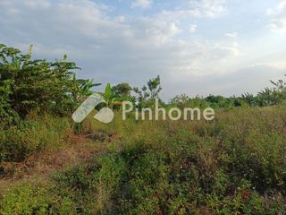 Dijual Tanah Komersial DI JALAN RAYA GEMPOL di Jl. RAYA GEMPOL