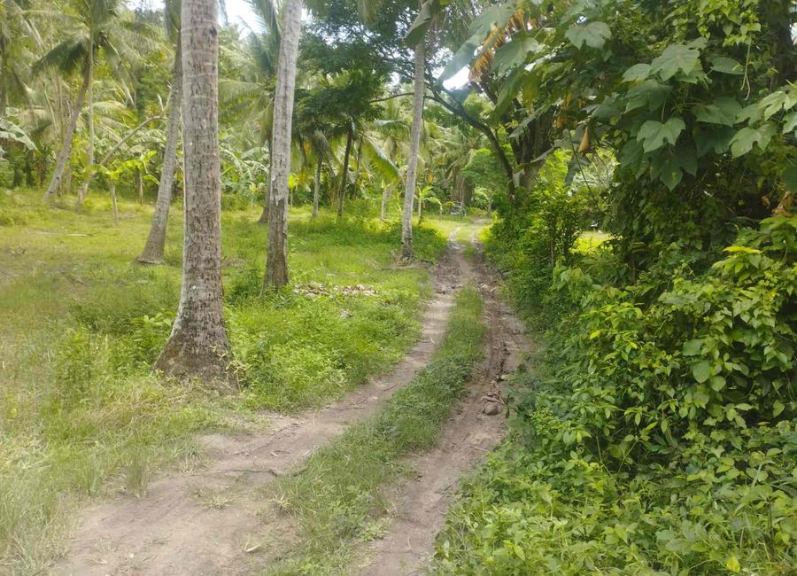 Malabrigo-Laiya Road, Laiya-Aplaya, San Juan, Batangas