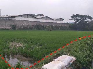 TANAH GUDANG & KANTOR MAJALAYA – CICALENGKA BANDUNG (CL326)