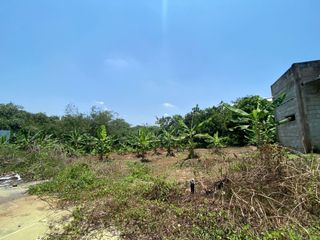 TANAH CIRENDE CAMPAKA PURWAKARTA (CK391)