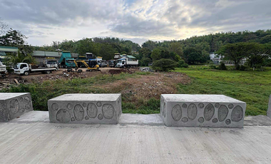 VACANT LOT FOR SALE IN BARAS, RIZAL (ALONG THE HIGHWAY)