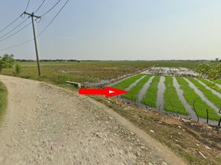 TANAH SAWAH UTAN JATI CABANGBUNGIN BEKASI (CB52)