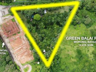 1.2 hectares Farm Lot for sale in Brgy. Mabayo Morong Bataan