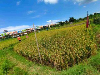 🏡 Tanah Strategis di Kawasan BTP – Makassar

Dijual tanah SHM dengan lokasi potensial di kawasan berkembang BTP. Berada depan Ruko Insignia Business Boulevard BTP dan hanya ± 1 km dari pusat BTP, menjadikan nilai lokasi semakin menarik.

📍 Detail Properti:
Jenis: Tanah
Luas: 358 m²
Sertifikat: SHM
Harga: Rp750.000 / meter (update 25/12/2025, sebelumnya Rp900.000/m)
Area sekitar ruko & kawasan komersial
💡 Potensi tinggi untuk gudang, rumah, atau investasi karena berada di area berkembang.